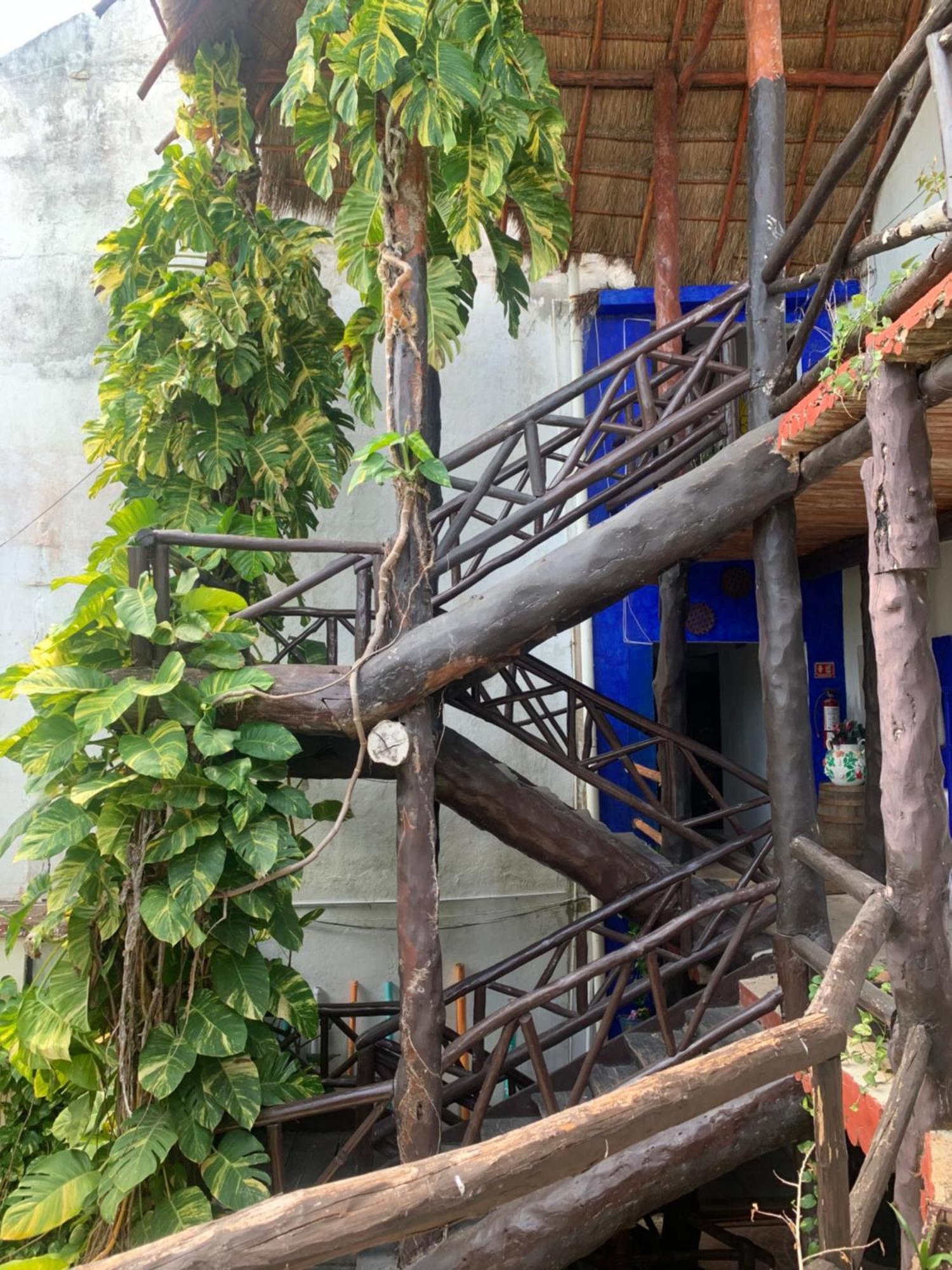 Casa Caribe Канкун Екстер'єр фото Bamboo staircase