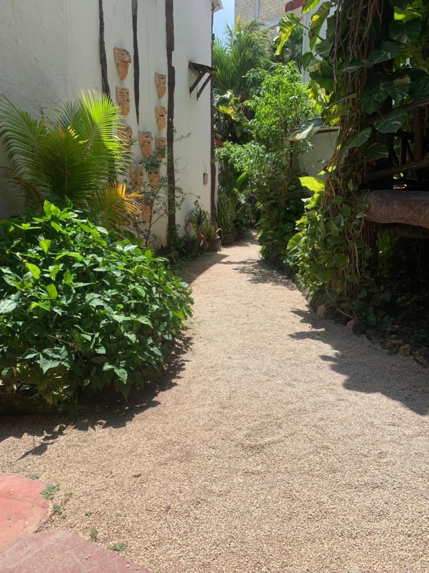 Casa Caribe Канкун Екстер'єр фото A typical alleyway in Tulum