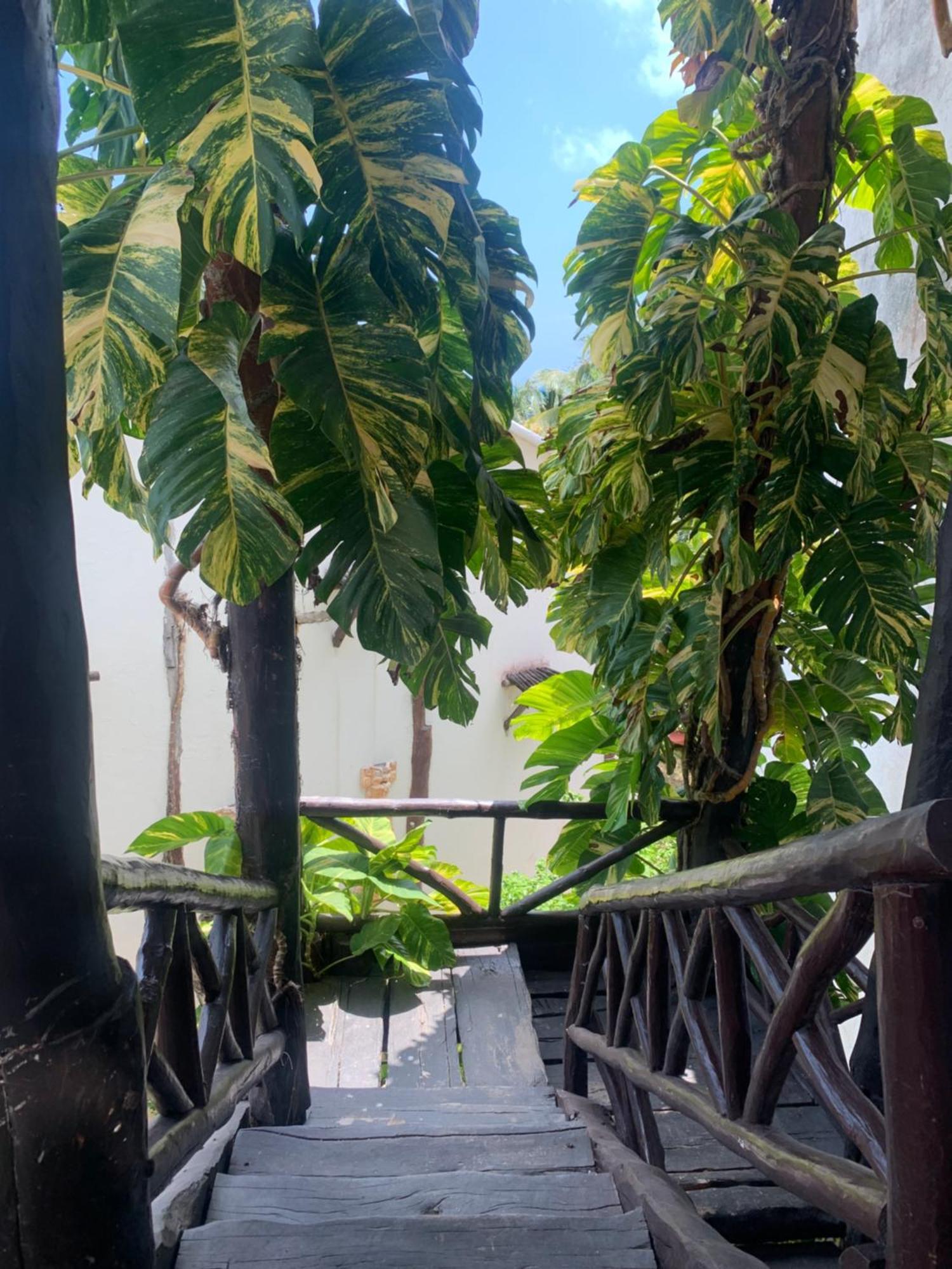 Casa Caribe Канкун Екстер'єр фото A view of the garden